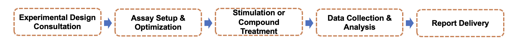 Fig.1 Service Workflow. (Creative Biolabs Original)