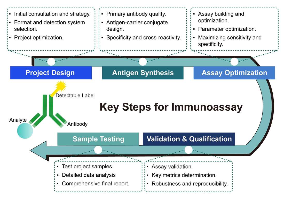 A simple procedure for immunoassay. (Creative Biolabs Original)