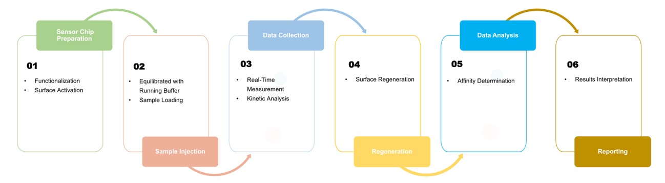 Operation process of surface plasmon resonance (SPR). (Creative Biolabs Original)