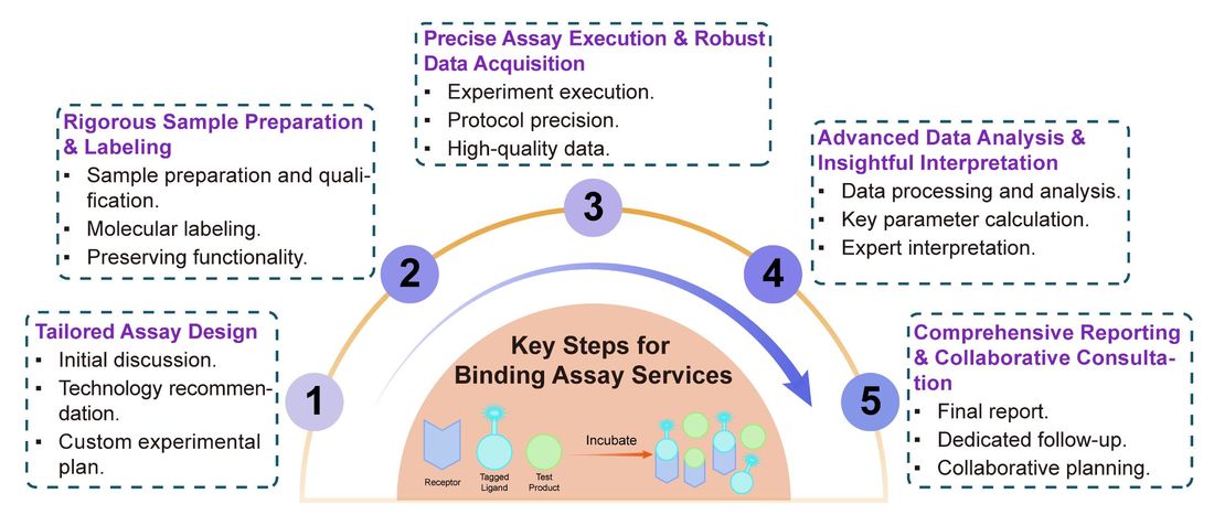 A simple procedure for binding assay services. (Creative Biolabs Original)