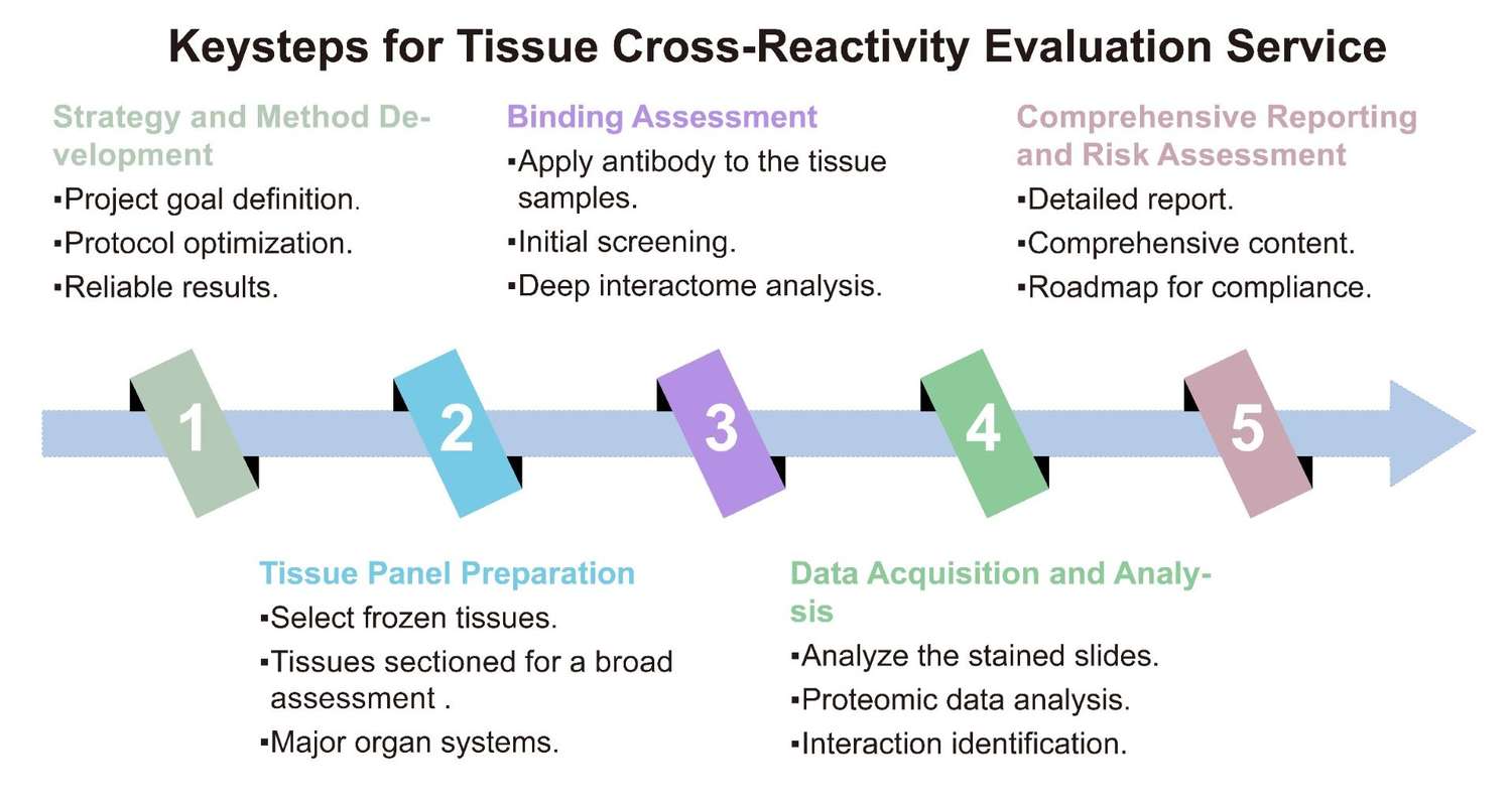 A simple procedure for tissue cross-reactivity evaluation service. (Creative Biolabs Original)