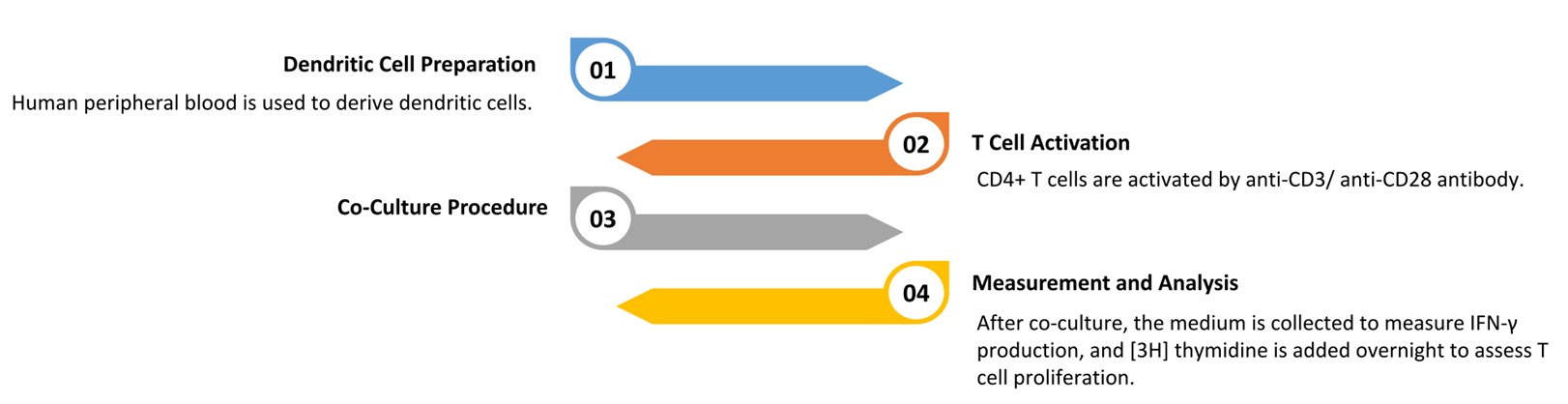 Procedure for dendritic cell and T cell activation assay. (Creative Biolabs Original)