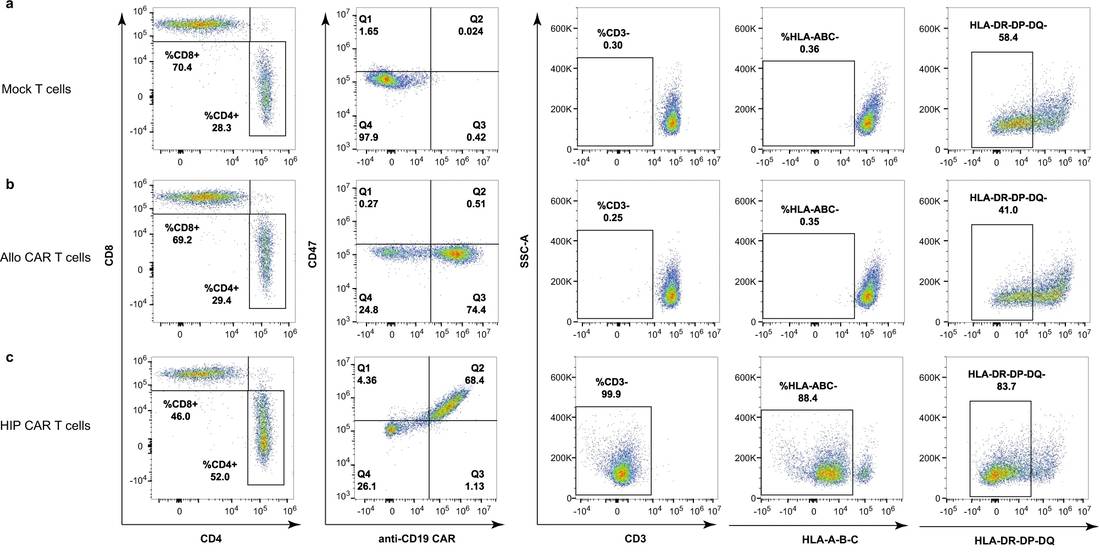 Fig.1 Flow cytometry of unedited and engineered CAR T cells. (OA Literature)