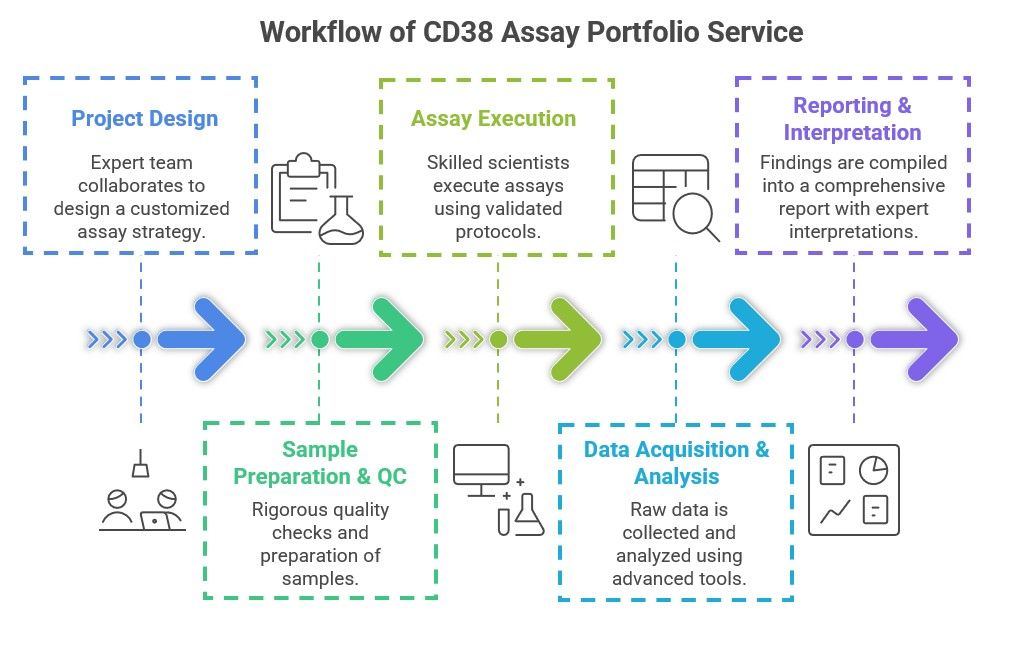 Core Steps of CD38 Assay Process. (Creative Biolabs Original)