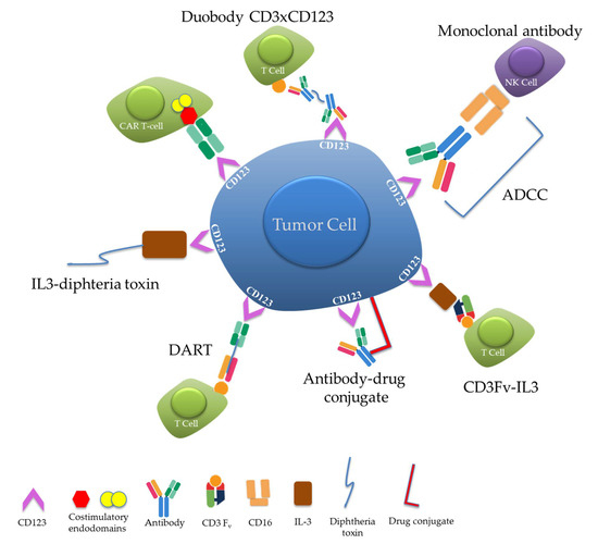 Fig.1 Illustrative diagram of different CD123-targeted therapeutic constructs. (OA Literature)