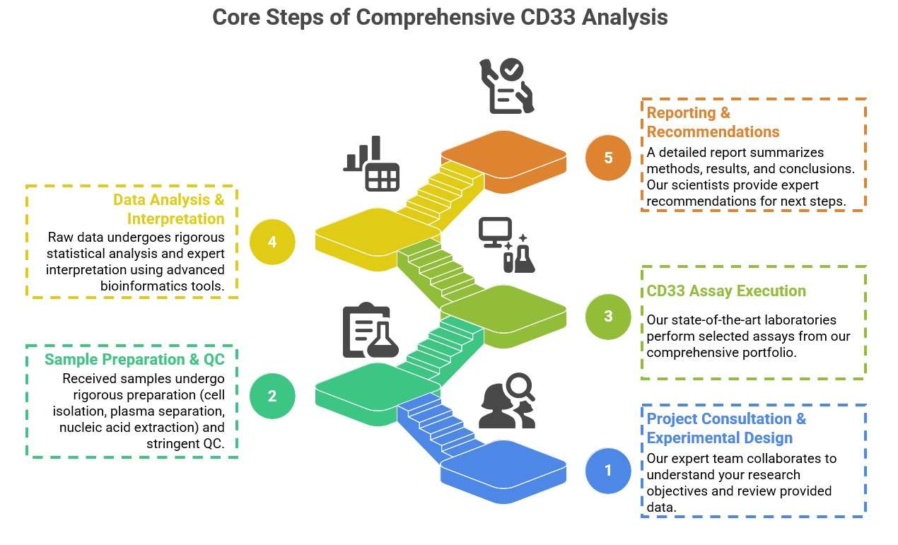 Core steps of comprehensive CD33 analysis. (Creative Biolabs Original)
