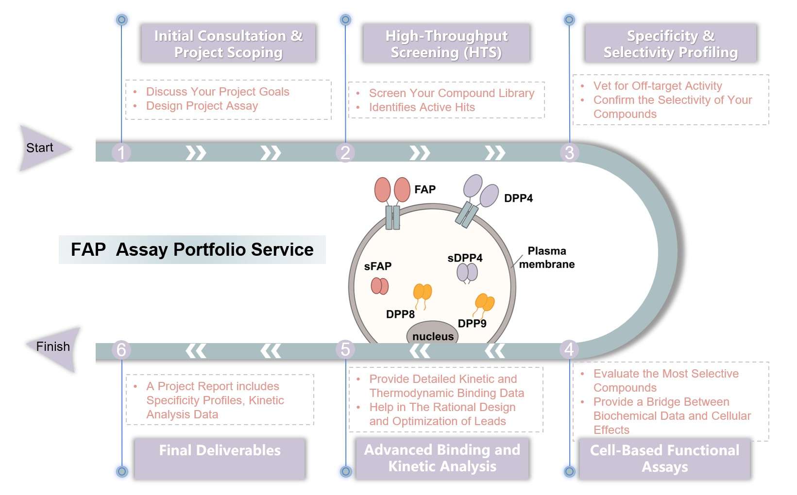 Core steps of the FAP assay process. (Creative Biolabs Original)