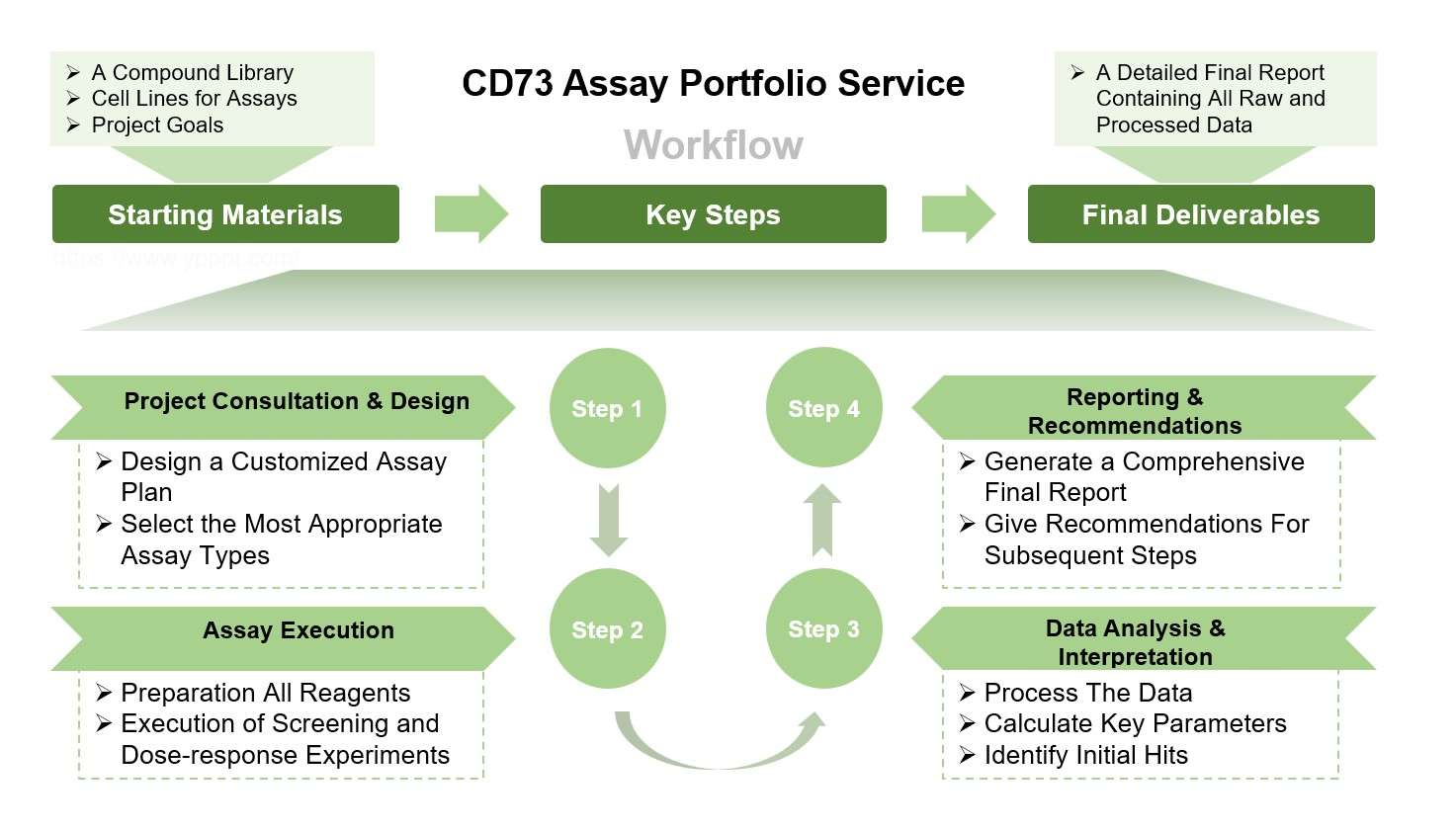 Core steps of the CD73 assay process. (Creative Biolabs Original)