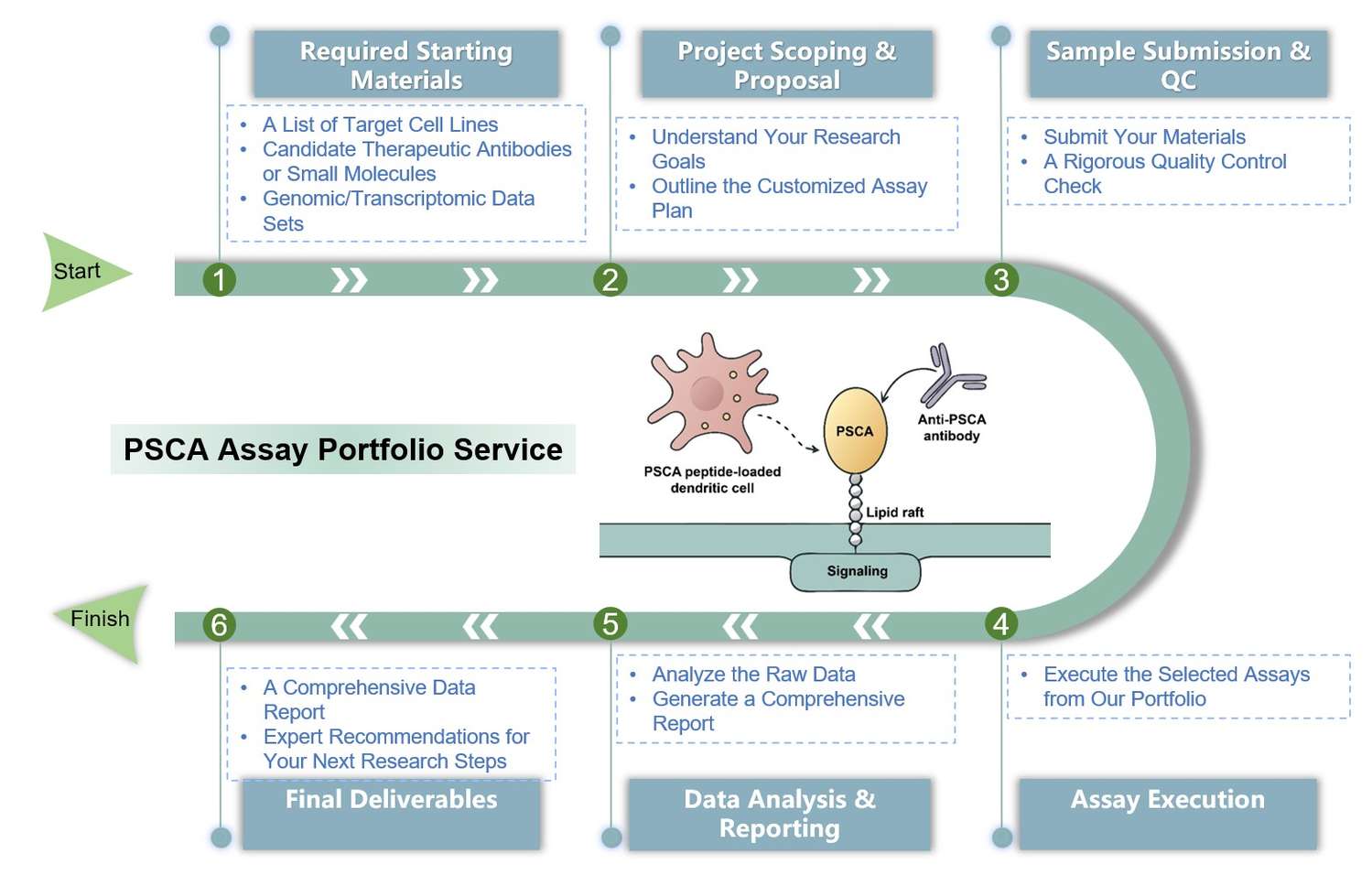 Core steps of PSCA assay process. (Creative Biolabs Original)