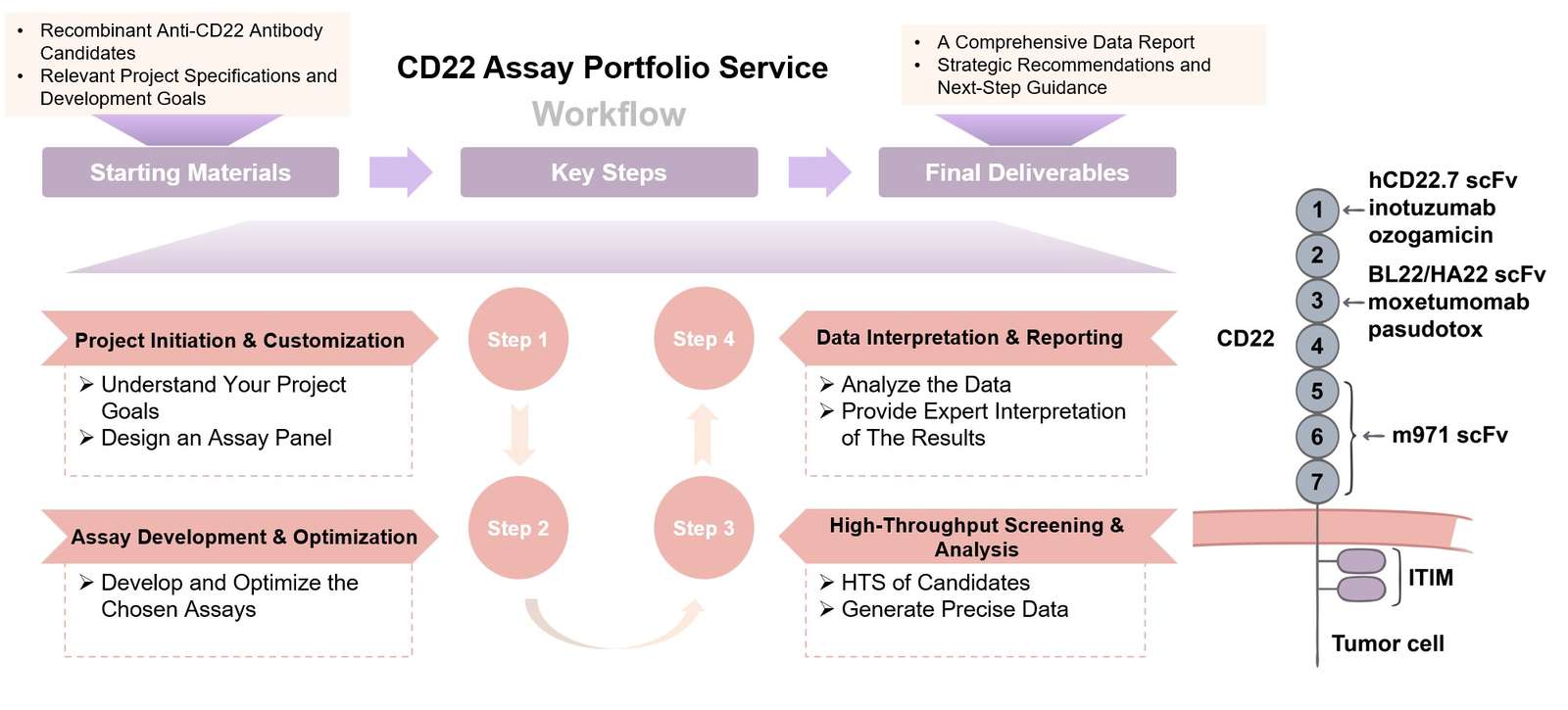 Core steps of CD22 assay process. (Creative Biolabs Original)