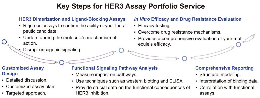 A simple procedure for HER3 assay portfolio service. (Creative Biolabs Original)