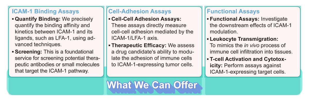 Creative Biolabs' ICAM-1 related assays. (Creative Biolabs Original)