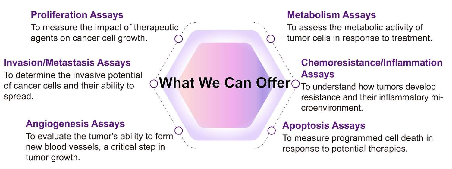 Creative Biolabs' CA15-3 related assays. (Creative Biolabs Original)