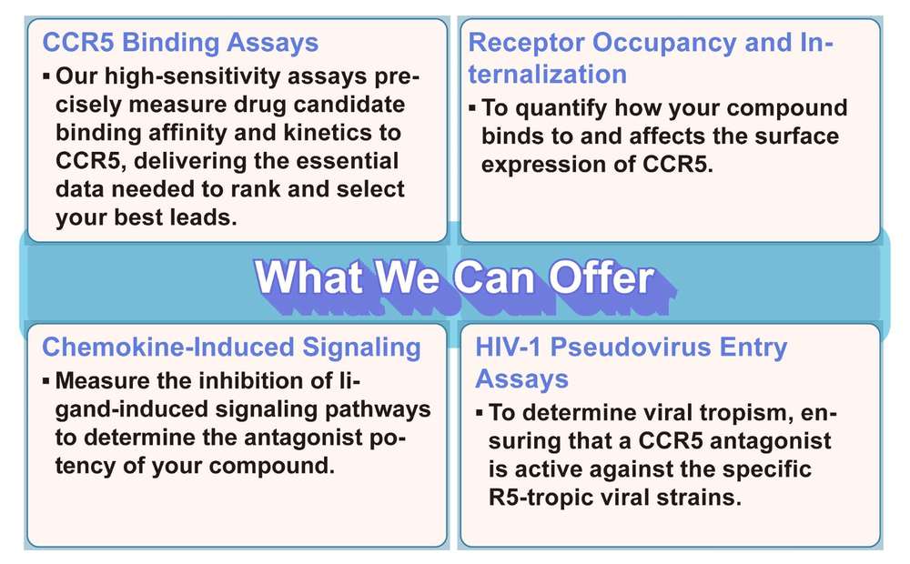 Creative Biolabs' CCR5 related assays. (Creative Biolabs Original)