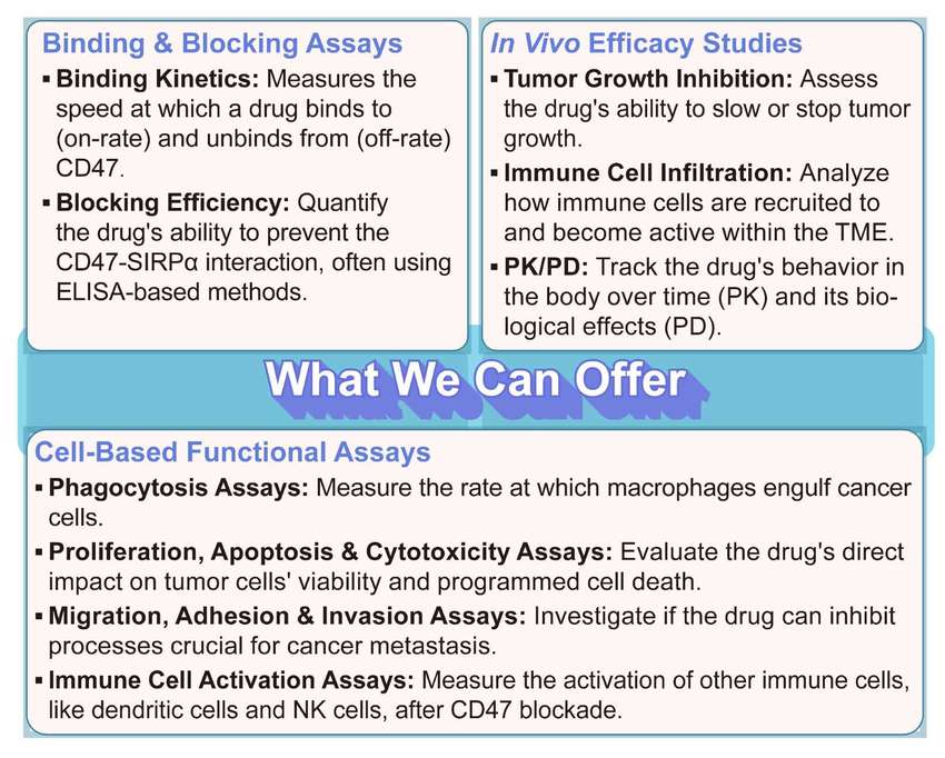 Creative Biolabs' CD47 related assays. (Creative Biolabs Original)