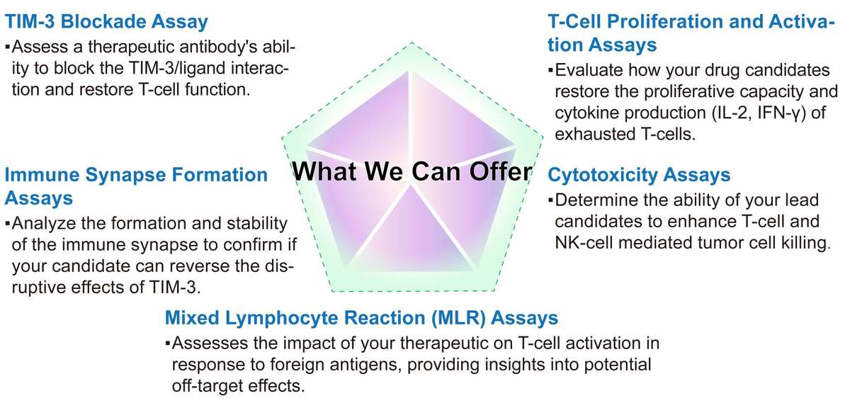 Creative Biolabs' CD47 related assays. (Creative Biolabs Original)