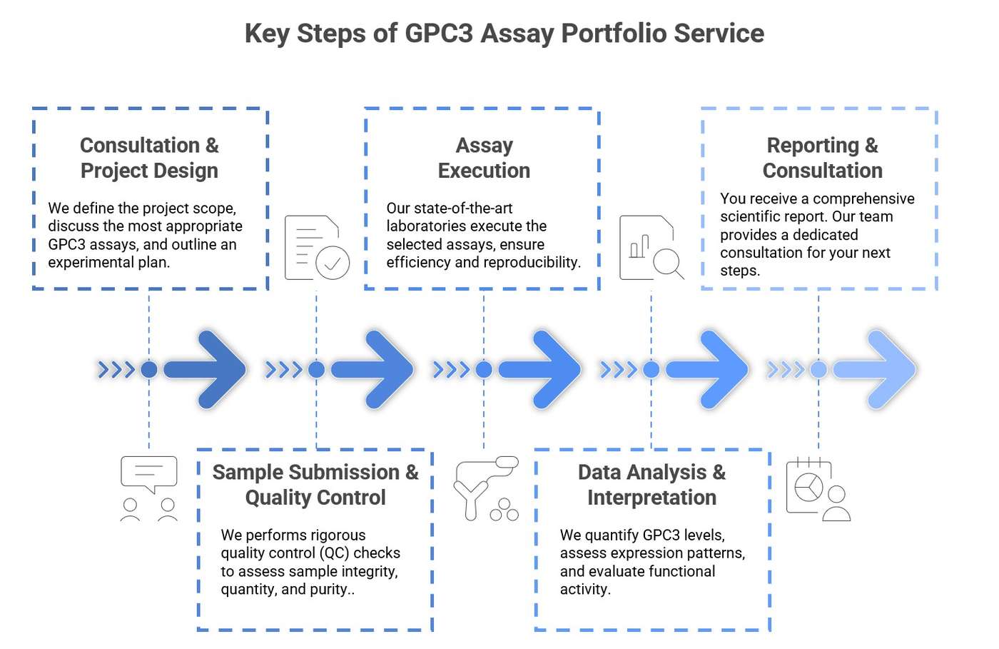 GPC3 Research Process. (Creative Biolabs Original)