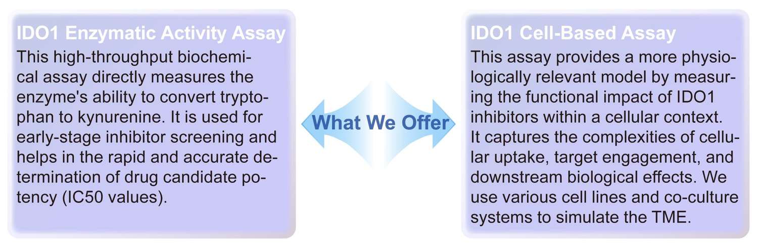 Creative Biolabs' IDO related assays. (Creative Biolabs Original)