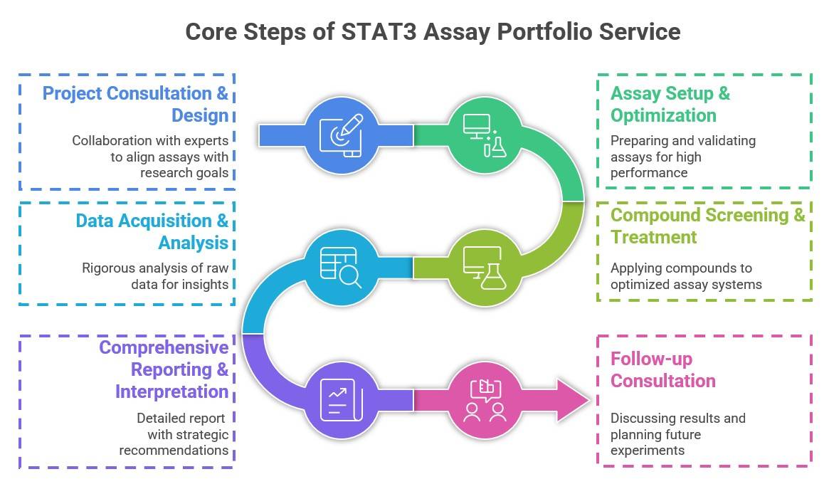 Core Steps of STAT3 Assay Portfolio Service. (Creative Biolabs Original)