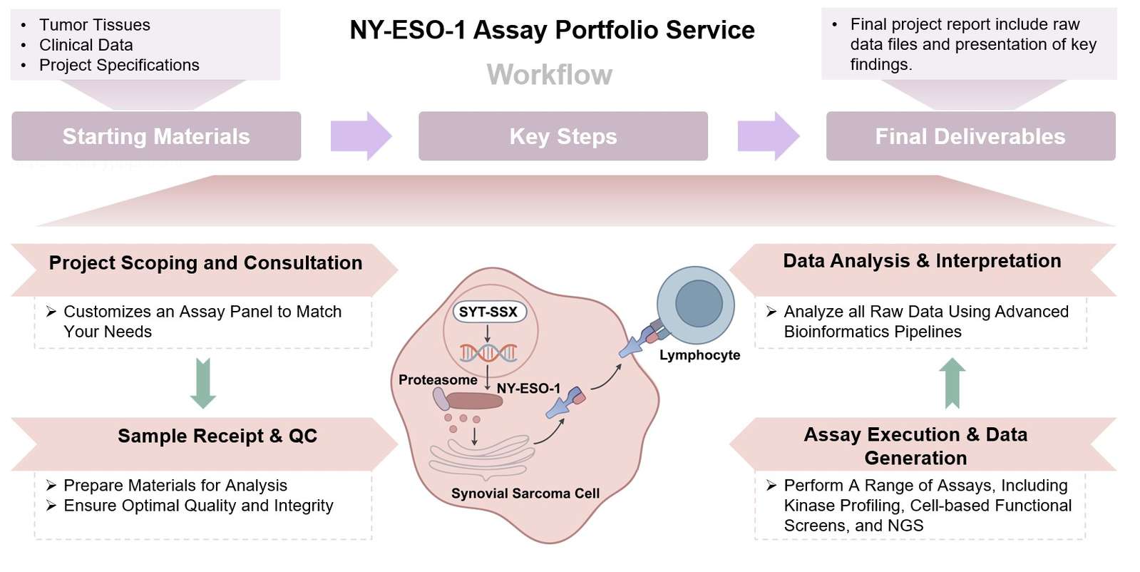 Core Steps of NY-ESO-1 Targeted Assay Service. (Creative Biolabs Original)