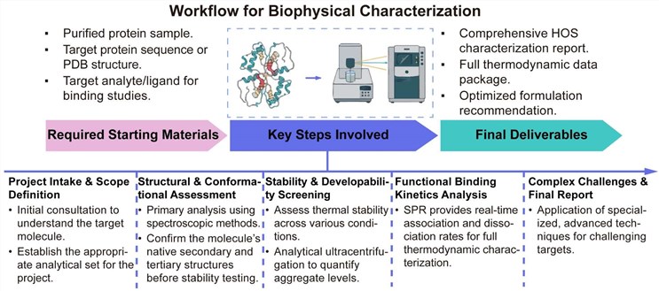 A simple procedure for biophysical characterization service. (Creative Biolabs Original)