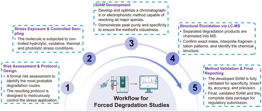 A simple procedure for forced degradation studies. (Creative Biolabs Original)