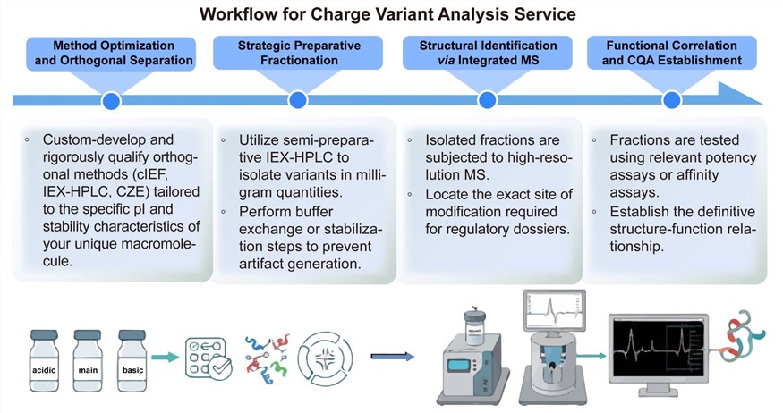 A simple procedure for charge variant analysis. (Creative Biolabs Original)