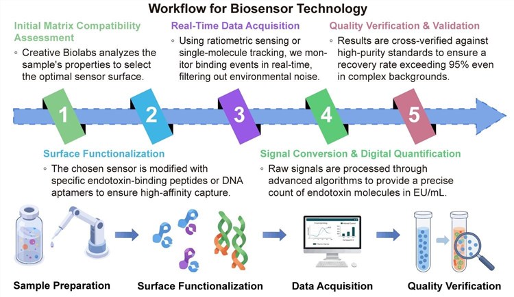 A simple procedure for biosensor technology. (Creative Biolabs Original)