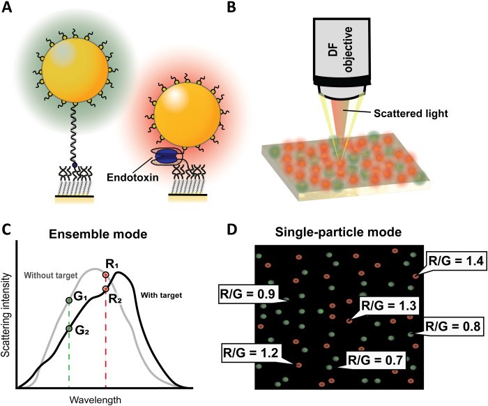Fig.1 Schematic of the signal detection and acquisition process. (OA Literature)