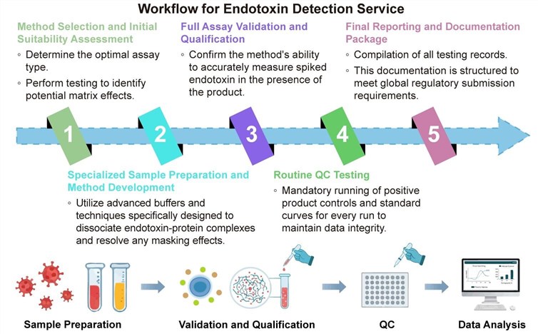 A simple procedure for endotoxin detection service. (Creative Biolabs Original)