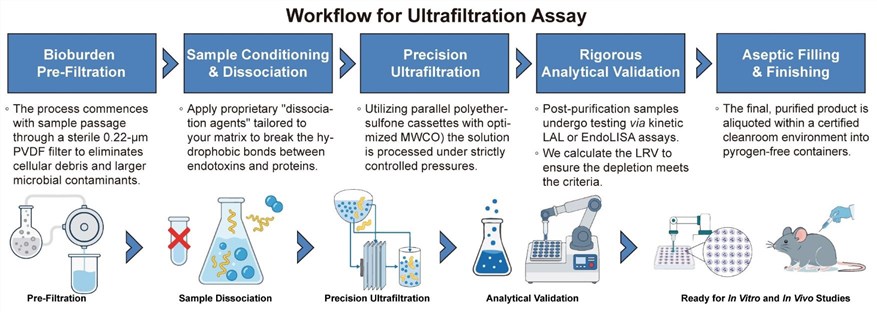 A simple procedure for the ultrafiltration assay. (Creative Biolabs Original)