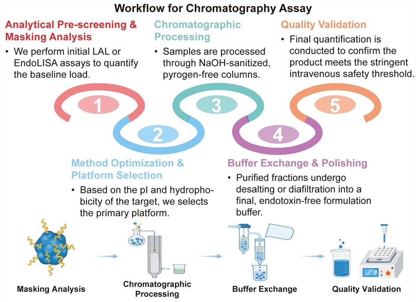 A simple procedure for the chromatography assay. (Creative Biolabs Original)