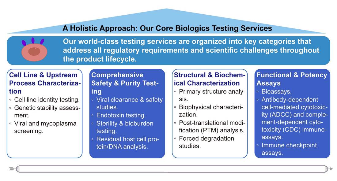 A simple procedure for biologics testing. (Creative Biolabs Original)