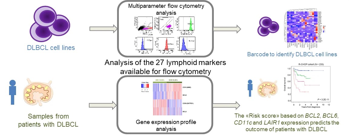 Fig.1 Phenotypic characterization of DLBCL and prognostic impact. (OA Literature)