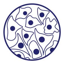 Tailored Solutions for Specific Cell Lines