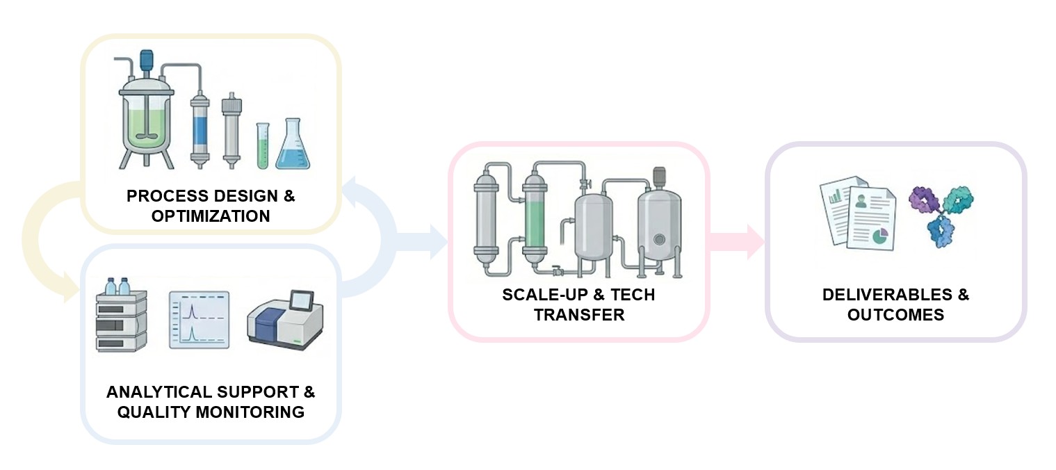 Fig.1 Schematic overview of purification process development. (Creative Biolabs AI)