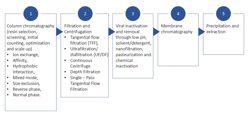 Creative Biolabs’ in downstream purification. (Creative Biolabs Original)