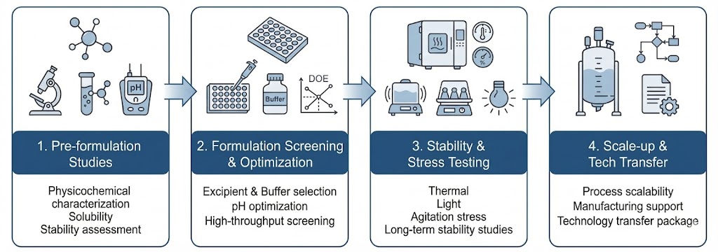 Fig.1 Schematic representation of the formulation development platform that goes from pre-formulation to tech transfer. (Creative Biolabs AI)