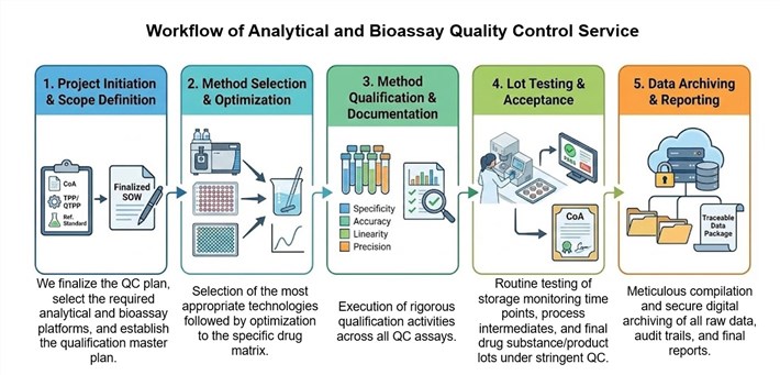 Core steps of analytical and bioassay quality control service. (Creative Biolabs AI)