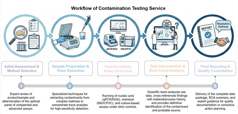 Core steps of contamination testing. (Creative Biolabs Original)