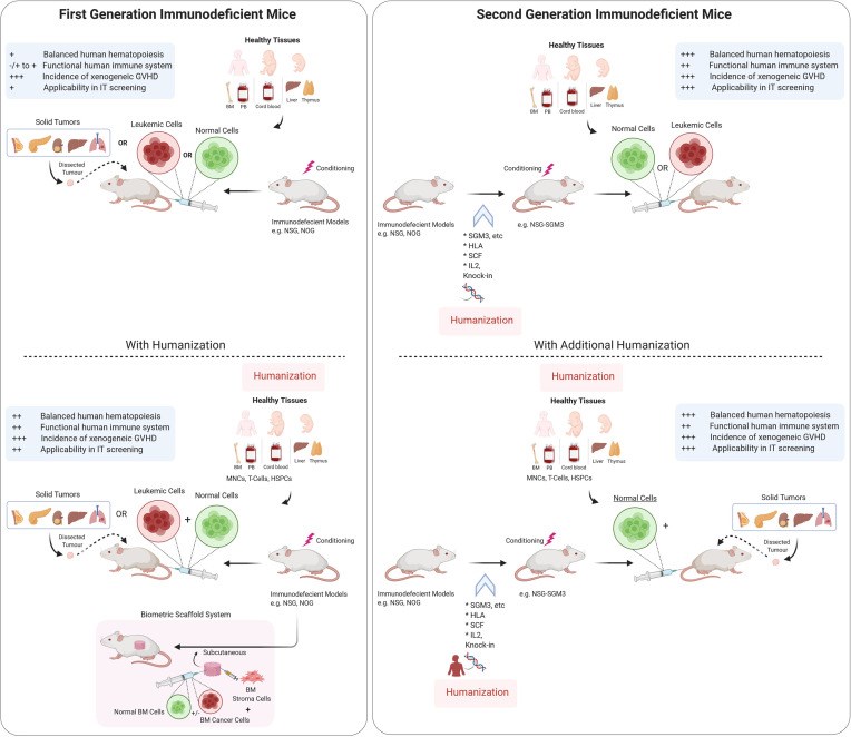 Fig.1 The development and refinement of humanized mouse models. (OA Literature)
