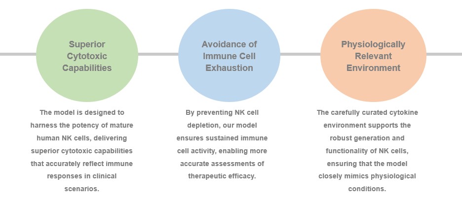 Fig.1 Highlights of Our Human PBMC-NK Mouse Model. (Creative Biolabs Original)
