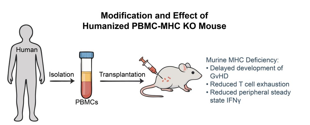 Fig.1 The depiction of the route to the desired HCP profile, considering risk and different analytical technologies. (Creative Biolabs Original)