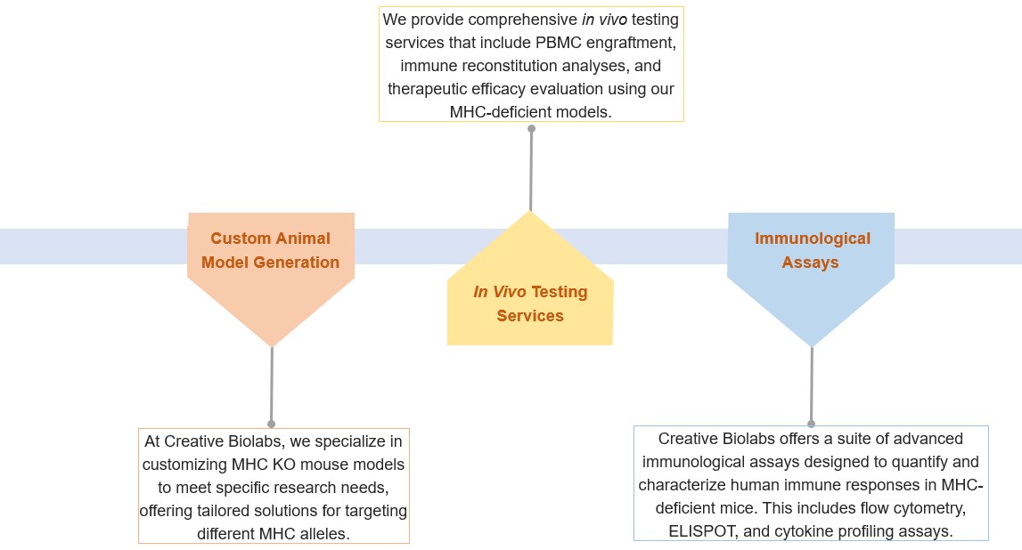 Fig.1 Our related services. (Creative Biolabs Original)