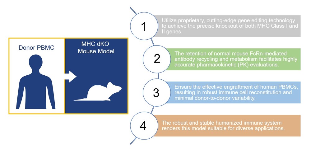 How Creative Biolabs’ human PBMC-MHC KO mouse model for immuno-oncology study can assist your project. (Creative Biolabs Original)