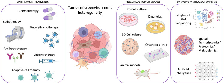Fig.1 Advanced efficacy models deconstruct tumor microenvironment complexity for therapeutic optimization. (OA Literature)