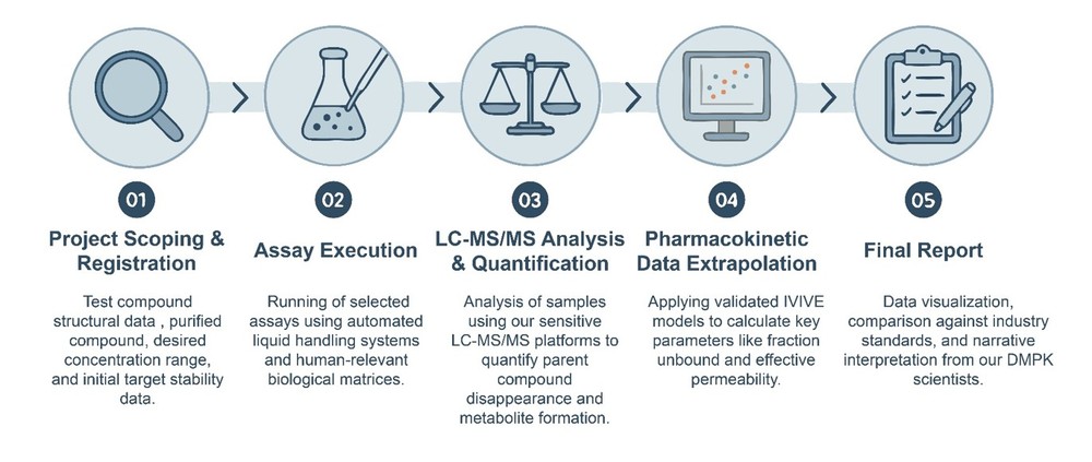 Core steps of in vitro ADME screening service. (Creative Biolabs Original)