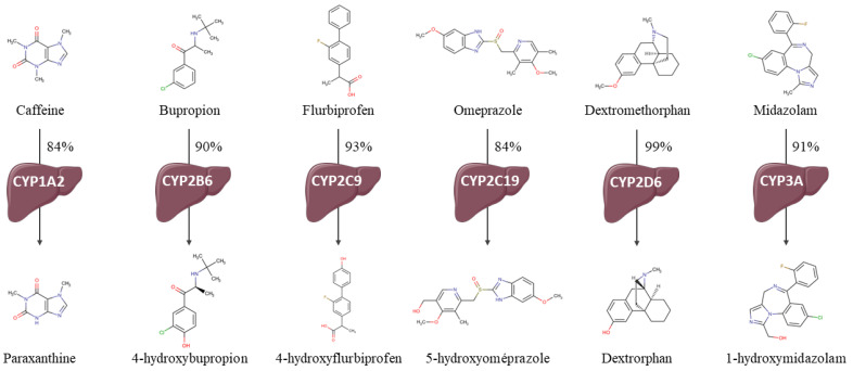 Fig.1 Cocktail drug metabolizations by the assessed CYP and chemical structures of probes and metabolites. (OA Literature)