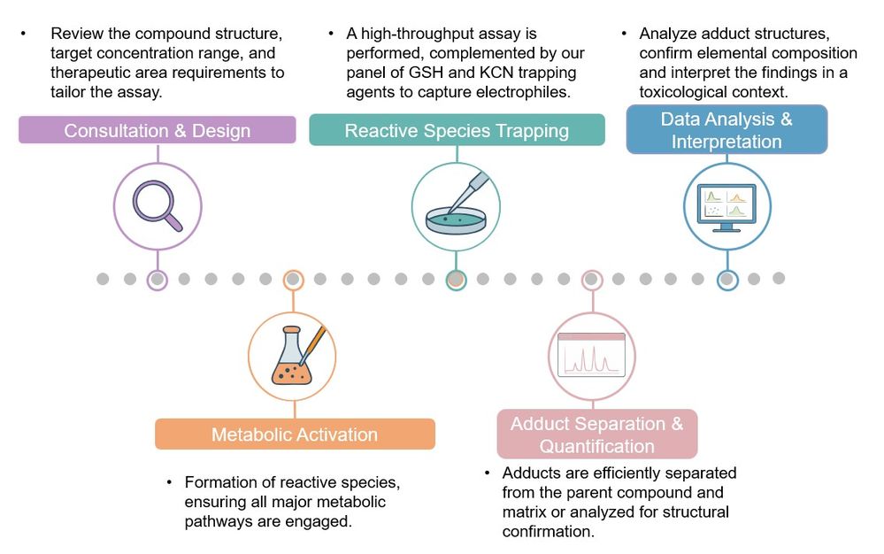 Core steps of reactive metabolite screening service. (Creative Biolabs Original)
