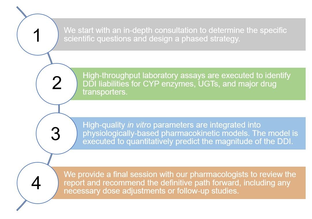 Core steps of how to analyze the drug-drug interaction. (Creative Biolabs Original)